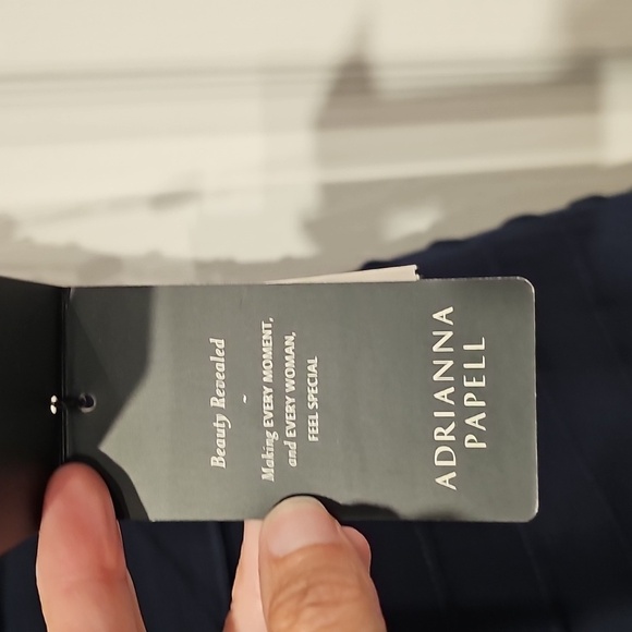 Adrianna Papell Bodycon Navy Blue SS Banded Sheath Dress Sz 10 MSRP $159 - Picture 8 of 11